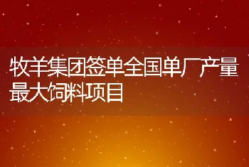 牧羊集团签单全国单厂产量最大饲料项目