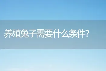 养殖兔子需要什么条件？