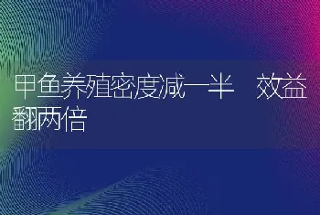 甲鱼养殖密度减一半 效益翻两倍