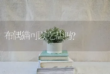 四十五天小金毛吃多少？