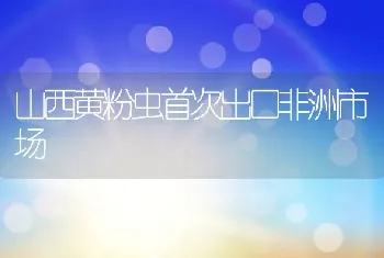 山西黄粉虫首次出口非洲市场