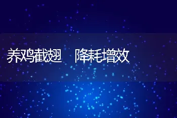 养鸡截翅降耗增效