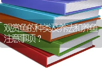 观赏鱼的种类及养法和养鱼注意事项？