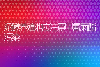 泥鳅养殖池应注意甲氰菊酯污染