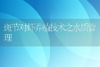 斑节对虾养殖技术之水质管理