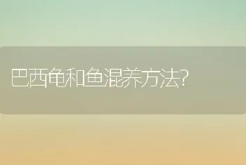 巴西龟和鱼混养方法？