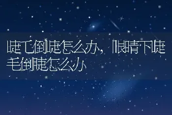 睫毛倒睫怎么办，眼睛下睫毛倒睫怎么办