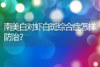 南美白对虾白斑综合症怎样防治？