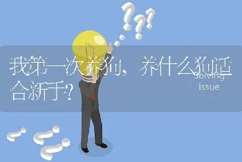 我第一次养狗,养什么狗适合新手？