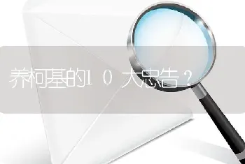 养柯基的10大忠告？