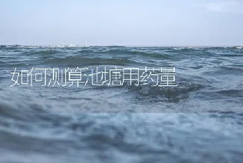 如何测算池塘用药量