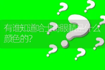 有谁知道哈士奇眼睛是什么颜色的？