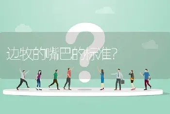 边牧的嘴巴的标准？