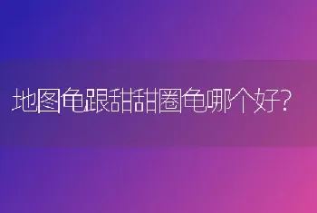 为什么猫咪吐之前要叫一下，告诉我们它要吐吗？