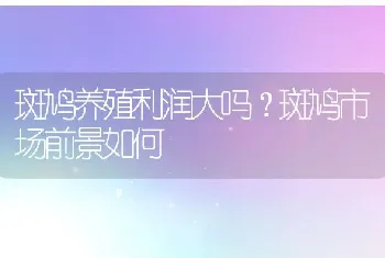 斑鸠养殖利润大吗？斑鸠市场前景如何