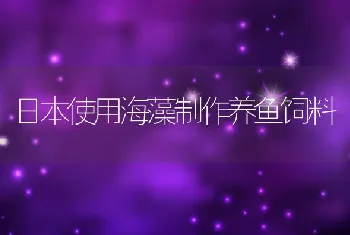 日本使用海藻制作养鱼饲料