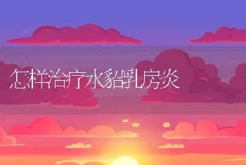 南美白虾苗三大疾病防治方法