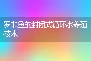 罗非鱼的封闭式循环水养殖技术