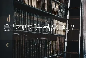 金吉拉摩托车品牌介绍？