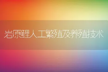 岩原鲤人工繁殖及养殖技术