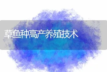 草鱼种高产养殖技术