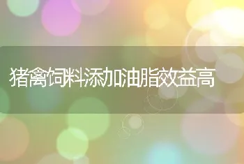 猪禽饲料添加油脂效益高