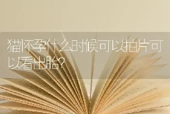 猫怀孕什么时候可以拍片可以看出胎？