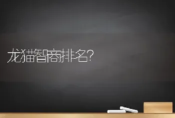 龙猫智商排名？