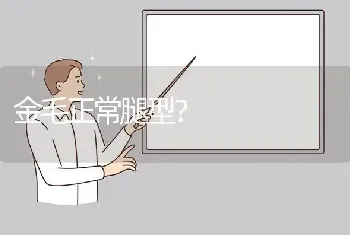 金毛正常腿型？