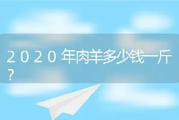 2020年肉羊多少钱一斤？