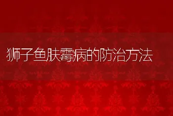 狮子鱼肤霉病的防治方法