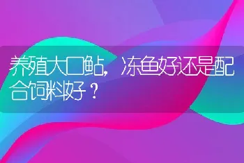 养殖大口鲇，冻鱼好还是配合饲料好？