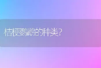 桔梗鹦鹉的种类？