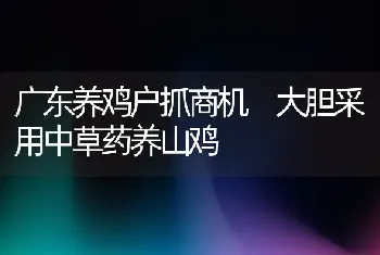 广东养鸡户抓商机 大胆采用中草药养山鸡