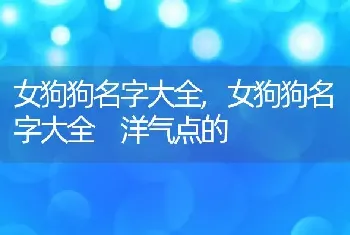 女狗狗名字大全，女狗狗名字大全 洋气点的