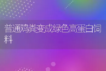 普通鸡粪变成绿色高蛋白饲料