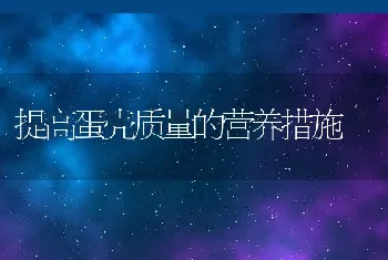 提高蛋壳质量的营养措施