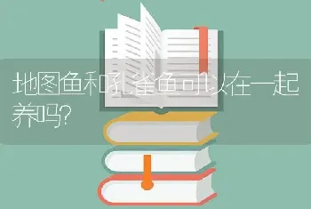 地图鱼和孔雀鱼可以在一起养吗？