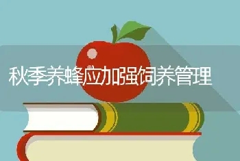 秋季养蜂应加强饲养管理