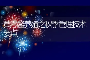 黄沙鳖养殖之秋季管理技术要点