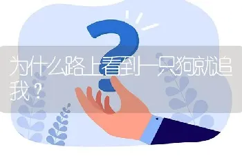 为什么路上看到一只狗就追我？