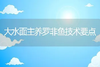 大水面主养罗非鱼技术要点