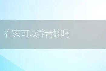 在家可以养青蛙吗