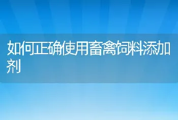 如何正确使用畜禽饲料添加剂