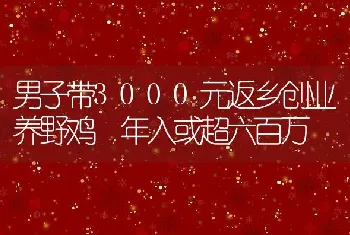 男子带3000元返乡创业养野鸡 年入或超六百万