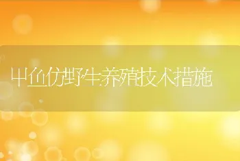 甲鱼仿野生养殖技术措施