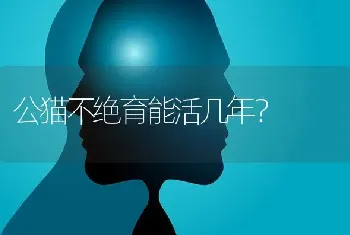 公猫不绝育能活几年？