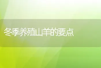 冬季养殖山羊的要点