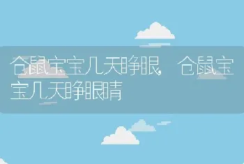 仓鼠宝宝几天睁眼，仓鼠宝宝几天睁眼睛