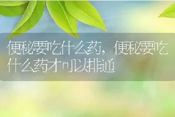 便秘要吃什么药，便秘要吃什么药才可以排通